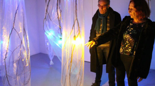 exposition interactive